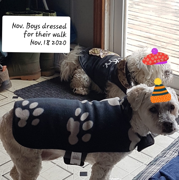 Meet your Posher, Doris - Picture 1 of 1